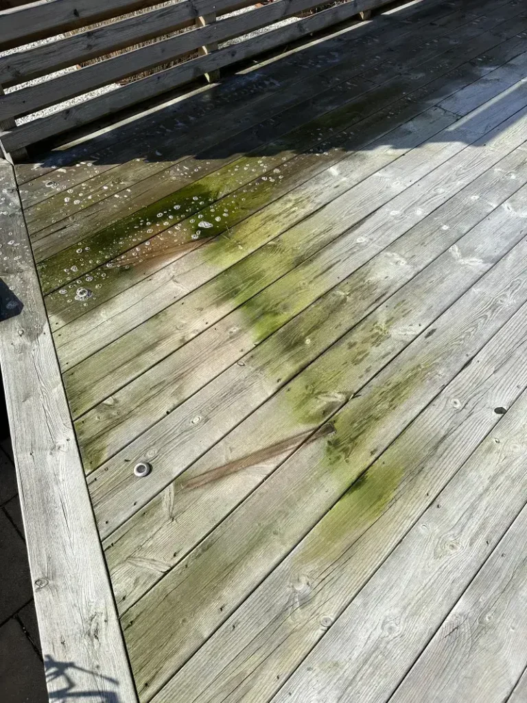 före rengöring av alger från altan